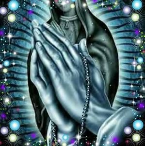 Meet your Posher, Gloria